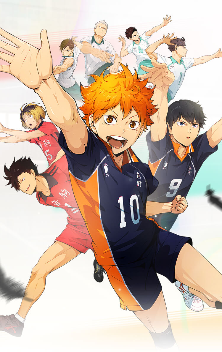 Haikyuu Fly High